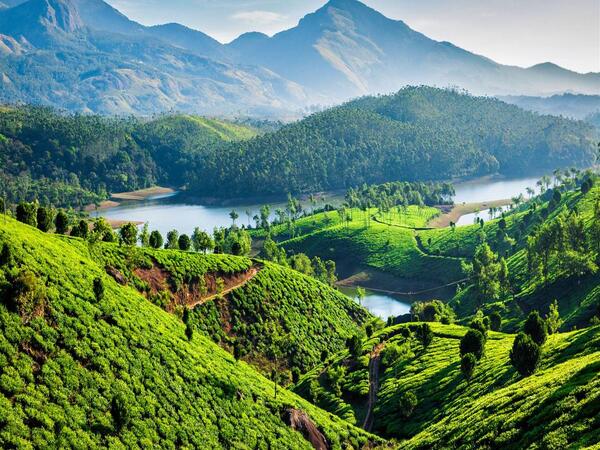 Coimbatore to Munnar taxi package