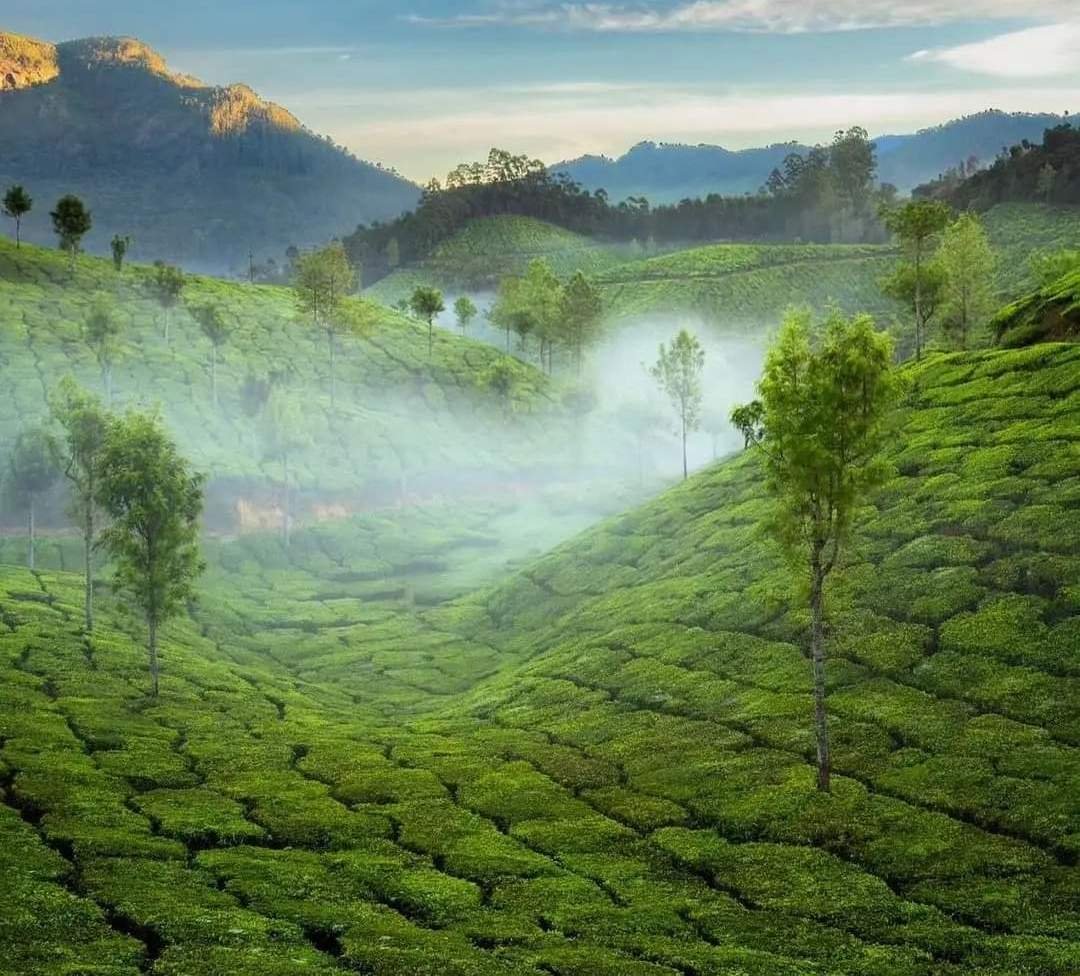 South India travel destination from Coimbatore