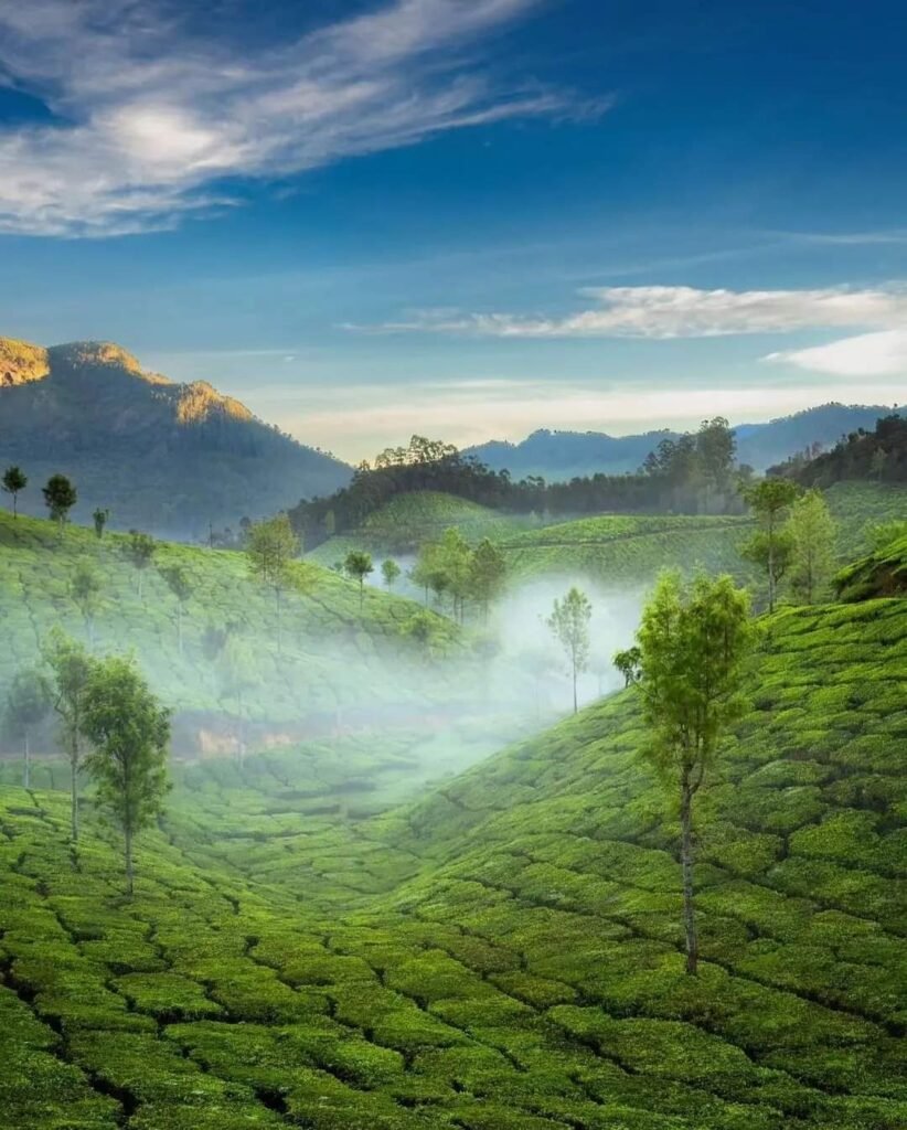 Coimbatore Taxi Service | Tour Taxi in Coimbatore | Coimbatore Car Rental | Taxi Service in Coimbatore | Coimbatore Travel Taxi | Coimbatore Airport Taxi | Coimbatore City Tour Taxi | Coimbatore to Ooty Taxi | Coimbatore to Nilgiri Taxi | Coimbatore Outstation Taxi | Coimbatore Local Taxi Service | Coimbatore One Way Taxi | Coimbatore Round Trip Taxi | Coimbatore to Ooty One Way Taxi | Coimbatore Airport to City Taxi Service | Coimbatore Local Sightseeing Taxi | Coimbatore to Nilgiri Hills Taxi | Coimbatore Car Rental for Outstation | Coimbatore Airport Pickup Taxi | Coimbatore Drop Taxi | Coimbatore One Day Tour Taxi | Coimbatore Hourly Taxi | Coimbatore Outstation Taxi Service | Coimbatore Taxi Booking | Coimbatore Taxi Online | Coimbatore Taxi Rate | Coimbatore Taxi Service Provider | Coimbatore Car Rental Service | Coimbatore to Chennai Taxi | Coimbatore to Bangalore Taxi | Coimbatore to Mysore Taxi | Coimbatore to Pondicherry Taxi | Coimbatore to Madurai Taxi | Innova Taxi in Coimbatore |Etios Taxi in Coimbatore | SUV Taxi in Coimbatore | Luxury Car Taxi in Coimbatore | Tempo Traveller in Coimbatore