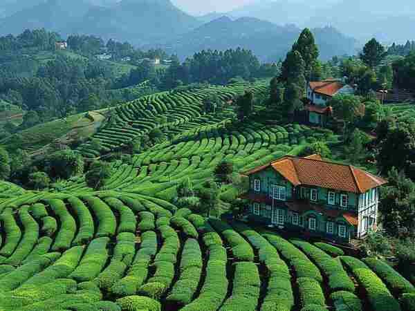 Coimbatore Taxi Service | Tour Taxi in Coimbatore | Coimbatore Car Rental | Taxi Service in Coimbatore | Coimbatore Travel Taxi | Coimbatore Airport Taxi | Coimbatore City Tour Taxi | Coimbatore to Ooty Taxi | Coimbatore to Nilgiri Taxi | Coimbatore Outstation Taxi | Coimbatore Local Taxi Service | Coimbatore One Way Taxi | Coimbatore Round Trip Taxi | Coimbatore to Ooty One Way Taxi | Coimbatore Airport to City Taxi Service | Coimbatore Local Sightseeing Taxi | Coimbatore to Nilgiri Hills Taxi | Coimbatore Car Rental for Outstation | Coimbatore Airport Pickup Taxi | Coimbatore Drop Taxi | Coimbatore One Day Tour Taxi | Coimbatore Hourly Taxi | Coimbatore Outstation Taxi Service | Coimbatore Taxi Booking | Coimbatore Taxi Online | Coimbatore Taxi Rate | Coimbatore Taxi Service Provider | Coimbatore Car Rental Service | Coimbatore to Chennai Taxi | Coimbatore to Bangalore Taxi | Coimbatore to Mysore Taxi | Coimbatore to Pondicherry Taxi | Coimbatore to Madurai Taxi | Innova Taxi in Coimbatore |Etios Taxi in Coimbatore | SUV Taxi in Coimbatore | Luxury Car Taxi in Coimbatore | Tempo Traveller in Coimbatore