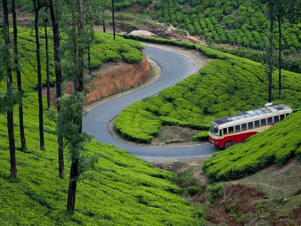 Coimbatore Taxi Service | Tour Taxi in Coimbatore | Coimbatore Car Rental | Taxi Service in Coimbatore | Coimbatore Travel Taxi | Coimbatore Airport Taxi | Coimbatore City Tour Taxi | Coimbatore to Ooty Taxi | Coimbatore to Nilgiri Taxi | Coimbatore Outstation Taxi | Coimbatore Local Taxi Service | Coimbatore One Way Taxi | Coimbatore Round Trip Taxi | Coimbatore to Ooty One Way Taxi | Coimbatore Airport to City Taxi Service | Coimbatore Local Sightseeing Taxi | Coimbatore to Nilgiri Hills Taxi | Coimbatore Car Rental for Outstation | Coimbatore Airport Pickup Taxi | Coimbatore Drop Taxi | Coimbatore One Day Tour Taxi | Coimbatore Hourly Taxi | Coimbatore Outstation Taxi Service | Coimbatore Taxi Booking | Coimbatore Taxi Online | Coimbatore Taxi Rate | Coimbatore Taxi Service Provider | Coimbatore Car Rental Service | Coimbatore to Chennai Taxi | Coimbatore to Bangalore Taxi | Coimbatore to Mysore Taxi | Coimbatore to Pondicherry Taxi | Coimbatore to Madurai Taxi | Innova Taxi in Coimbatore |Etios Taxi in Coimbatore | SUV Taxi in Coimbatore | Luxury Car Taxi in Coimbatore | Tempo Traveller in Coimbatore
