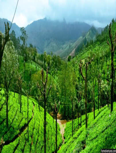 Coimbatore Taxi Service | Tour Taxi in Coimbatore | Coimbatore Car Rental | Taxi Service in Coimbatore | Coimbatore Travel Taxi | Coimbatore Airport Taxi | Coimbatore City Tour Taxi | Coimbatore to Ooty Taxi | Coimbatore to Nilgiri Taxi | Coimbatore Outstation Taxi | Coimbatore Local Taxi Service | Coimbatore One Way Taxi | Coimbatore Round Trip Taxi | Coimbatore to Ooty One Way Taxi | Coimbatore Airport to City Taxi Service | Coimbatore Local Sightseeing Taxi | Coimbatore to Nilgiri Hills Taxi | Coimbatore Car Rental for Outstation | Coimbatore Airport Pickup Taxi | Coimbatore Drop Taxi | Coimbatore One Day Tour Taxi | Coimbatore Hourly Taxi | Coimbatore Outstation Taxi Service | Coimbatore Taxi Booking | Coimbatore Taxi Online | Coimbatore Taxi Rate | Coimbatore Taxi Service Provider | Coimbatore Car Rental Service | Coimbatore to Chennai Taxi | Coimbatore to Bangalore Taxi | Coimbatore to Mysore Taxi | Coimbatore to Pondicherry Taxi | Coimbatore to Madurai Taxi | Innova Taxi in Coimbatore |Etios Taxi in Coimbatore | SUV Taxi in Coimbatore | Luxury Car Taxi in Coimbatore | Tempo Traveller in Coimbatore