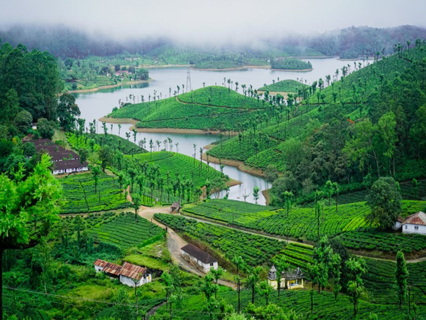 Coimbatore Taxi Service | Tour Taxi in Coimbatore | Coimbatore Car Rental | Taxi Service in Coimbatore | Coimbatore Travel Taxi | Coimbatore Airport Taxi | Coimbatore City Tour Taxi | Coimbatore to Ooty Taxi | Coimbatore to Nilgiri Taxi | Coimbatore Outstation Taxi | Coimbatore Local Taxi Service | Coimbatore One Way Taxi | Coimbatore Round Trip Taxi | Coimbatore to Ooty One Way Taxi | Coimbatore Airport to City Taxi Service | Coimbatore Local Sightseeing Taxi | Coimbatore to Nilgiri Hills Taxi | Coimbatore Car Rental for Outstation | Coimbatore Airport Pickup Taxi | Coimbatore Drop Taxi | Coimbatore One Day Tour Taxi | Coimbatore Hourly Taxi | Coimbatore Outstation Taxi Service | Coimbatore Taxi Booking | Coimbatore Taxi Online | Coimbatore Taxi Rate | Coimbatore Taxi Service Provider | Coimbatore Car Rental Service | Coimbatore to Chennai Taxi | Coimbatore to Bangalore Taxi | Coimbatore to Mysore Taxi | Coimbatore to Pondicherry Taxi | Coimbatore to Madurai Taxi | Innova Taxi in Coimbatore |Etios Taxi in Coimbatore | SUV Taxi in Coimbatore | Luxury Car Taxi in Coimbatore | Tempo Traveller in Coimbatore