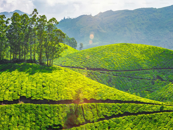 Coimbatore Taxi Service | Tour Taxi in Coimbatore | Coimbatore Car Rental | Taxi Service in Coimbatore | Coimbatore Travel Taxi | Coimbatore Airport Taxi | Coimbatore City Tour Taxi | Coimbatore to Ooty Taxi | Coimbatore to Nilgiri Taxi | Coimbatore Outstation Taxi | Coimbatore Local Taxi Service | Coimbatore One Way Taxi | Coimbatore Round Trip Taxi | Coimbatore to Ooty One Way Taxi | Coimbatore Airport to City Taxi Service | Coimbatore Local Sightseeing Taxi | Coimbatore to Nilgiri Hills Taxi | Coimbatore Car Rental for Outstation | Coimbatore Airport Pickup Taxi | Coimbatore Drop Taxi | Coimbatore One Day Tour Taxi | Coimbatore Hourly Taxi | Coimbatore Outstation Taxi Service | Coimbatore Taxi Booking | Coimbatore Taxi Online | Coimbatore Taxi Rate | Coimbatore Taxi Service Provider | Coimbatore Car Rental Service | Coimbatore to Chennai Taxi | Coimbatore to Bangalore Taxi | Coimbatore to Mysore Taxi | Coimbatore to Pondicherry Taxi | Coimbatore to Madurai Taxi | Innova Taxi in Coimbatore |Etios Taxi in Coimbatore | SUV Taxi in Coimbatore | Luxury Car Taxi in Coimbatore | Tempo Traveller in Coimbatore