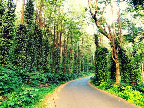 Coimbatore Taxi Service | Tour Taxi in Coimbatore | Coimbatore Car Rental | Taxi Service in Coimbatore | Coimbatore Travel Taxi | Coimbatore Airport Taxi | Coimbatore City Tour Taxi | Coimbatore to Ooty Taxi | Coimbatore to Nilgiri Taxi | Coimbatore Outstation Taxi | Coimbatore Local Taxi Service | Coimbatore One Way Taxi | Coimbatore Round Trip Taxi | Coimbatore to Ooty One Way Taxi | Coimbatore Airport to City Taxi Service | Coimbatore Local Sightseeing Taxi | Coimbatore to Nilgiri Hills Taxi | Coimbatore Car Rental for Outstation | Coimbatore Airport Pickup Taxi | Coimbatore Drop Taxi | Coimbatore One Day Tour Taxi | Coimbatore Hourly Taxi | Coimbatore Outstation Taxi Service | Coimbatore Taxi Booking | Coimbatore Taxi Online | Coimbatore Taxi Rate | Coimbatore Taxi Service Provider | Coimbatore Car Rental Service | Coimbatore to Chennai Taxi | Coimbatore to Bangalore Taxi | Coimbatore to Mysore Taxi | Coimbatore to Pondicherry Taxi | Coimbatore to Madurai Taxi | Innova Taxi in Coimbatore |Etios Taxi in Coimbatore | SUV Taxi in Coimbatore | Luxury Car Taxi in Coimbatore | Tempo Traveller in Coimbatore